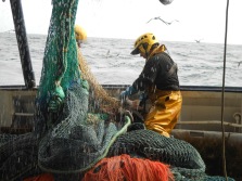 Marins pêcheurs sur un chalutier